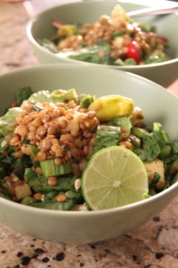 mexican lentil salad